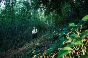 BIB: 
                            <button type="button" onclick="openModal(28125001)" class="btn btn-primary btn-sm float-right btn-popup" data-toggle="modal" data-target=".modal-high-quality">
                        <i class="fas fa-shopping-cart"></i> Add to Cart
                    </button>
                                            <button type="button" onclick="isThisMe(28125001, true)" class="btn btn-success btn-sm float-right btn-popup btn-isme hidden" data-toggle="tooltip" data-placement="bottom" title="นี่คือรูปของคุณใช่ไหม คลิกที่นี่เพื่อเอาเข้าอัลบั้ม">
                        <i class="fas fa-plus"></i> Add to album
                    </button>
                    <button type="button" onclick="isThisMe(28125001, false)" class="btn btn-warning btn-sm float-right btn-popup btn-isnotme hidden">
                        <i class="fas fa-ban"></i> Remove from album
                    </button>